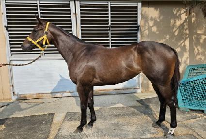 ���ü���Ʈ ����