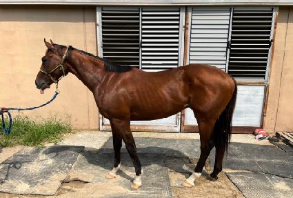 ��ī�絵�� ����