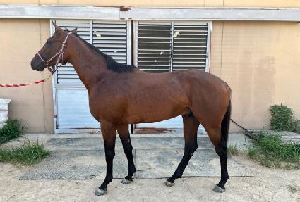 �״븸�Ǻ��� ����