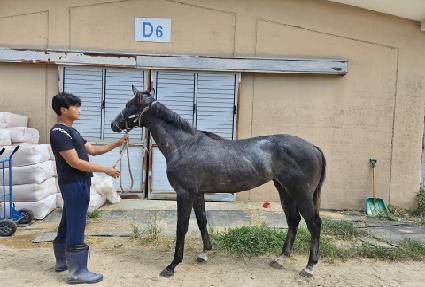 ������ũ ����