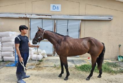 �����¡���� ����