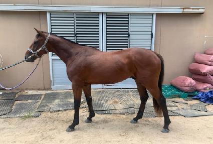 Ÿ������ŷ ����