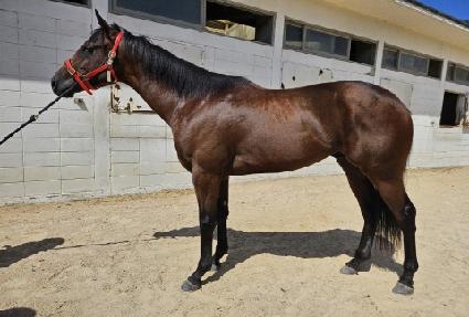 �ݾƿ��̳�Ʈ ����