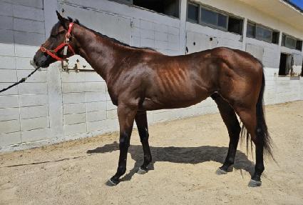 ��ī���۽� ����