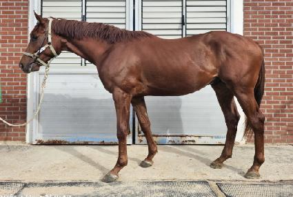 �ε� ����