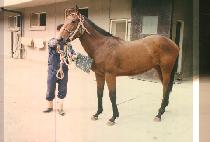 ���ذ� (JO JOON GYEONG) ����