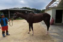 ���ê (HEAVEN CHAT) ����