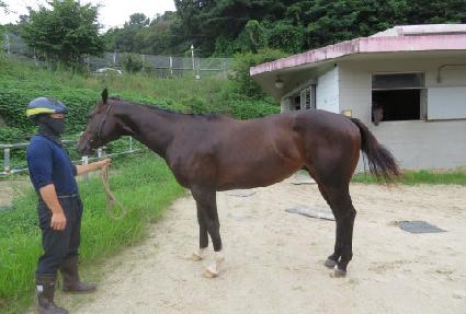 ������ ����