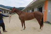 ����Ƽ����Ʈ (MIGHTY SWEET) ����