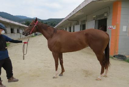 ����Ƽ����Ʈ ����