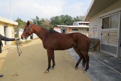 ����Ƽ���� ����