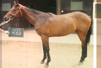 �ڰ��� ����