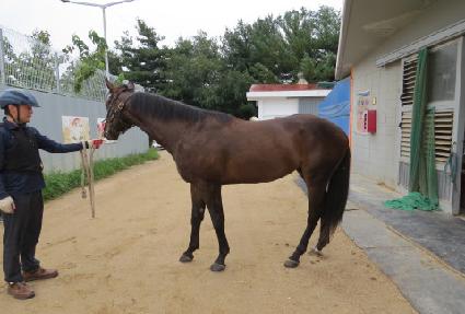 ŷ��ī�� ����