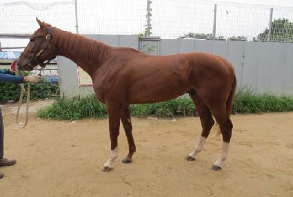 ���̴׷ε� ����