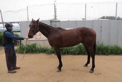 �۷ι���ǻ�� ����