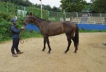 �ö��׽���Ʈ (FLYING SPURT) ����