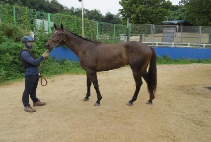 �ö��׽���Ʈ ����