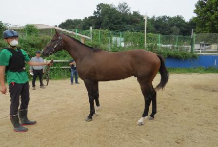 ĸƾ���� ����