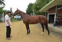 ���ġ�� (ANOTHER CHIEF) ����