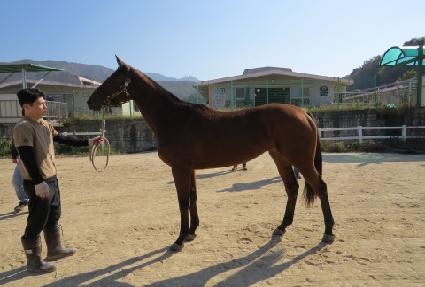 Ƽ�ƶ���� ����