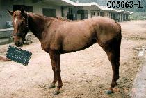 �������� (GA-JEUNG-KYO-SA) ����