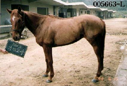 �������� ����