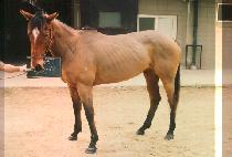 ����Ƽ (TOP PARTY) ����