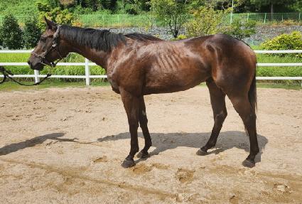 ä��ĭ ����