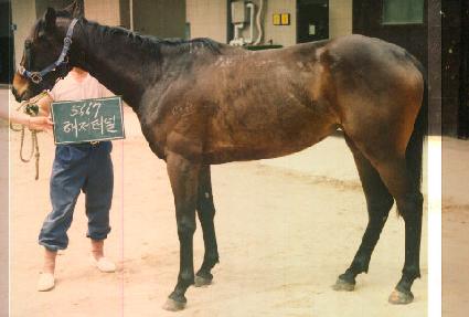 �����ͳ� ����