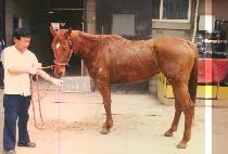 ��ٸ� (GI DA RIM) ����