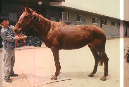 ���� ����