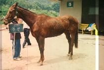 ���� (GEUN JANG) ����