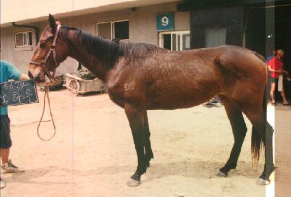 ���Ͽ� ����