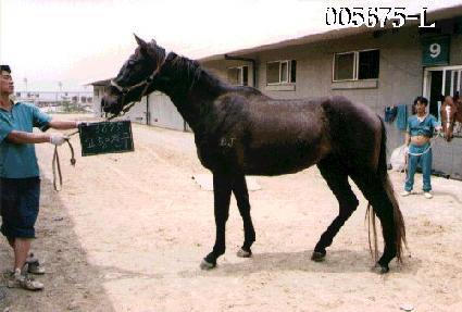 ����ģ�� ����