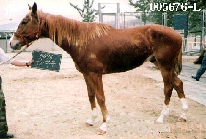 �ݼ��� ����