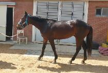 ����Ʈ�Ŀ� (SWEET POWER) ����