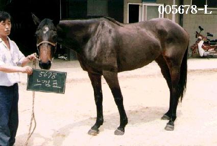 ����ǥ ����