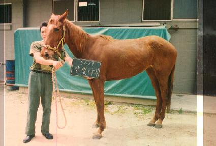 �������� ����