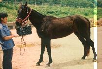 �ν»� (DOO SEUNG SAN) ����