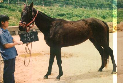 �ν»� ����