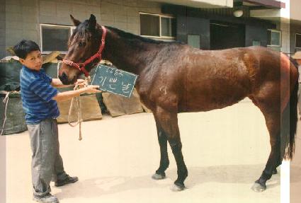 ��۳� ����