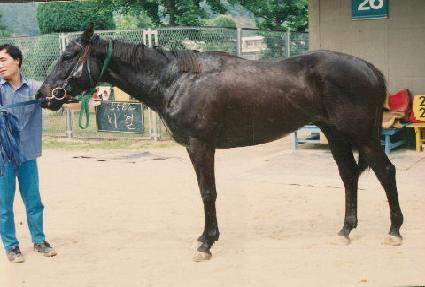 ��� ����