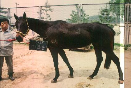 ������ ����