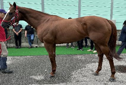 �罺��ũ�γ� ����