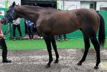 �����׼ҷ� ����