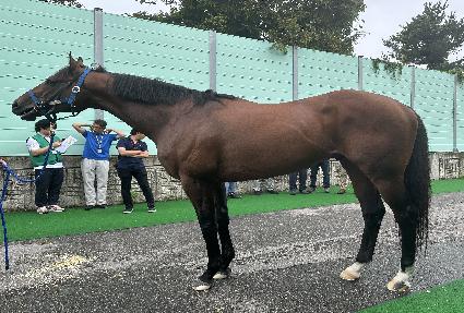 ����Ʈ������ ����