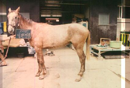 ��ۼ��� ����