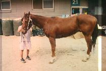 ����� (MA GOK SA) ����