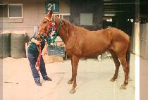 ������ (BYEUK RAN DO) ����