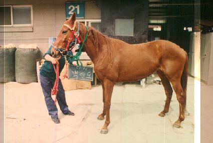 ������ ����